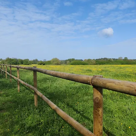 Agreable * Montfort-le-Gesnois